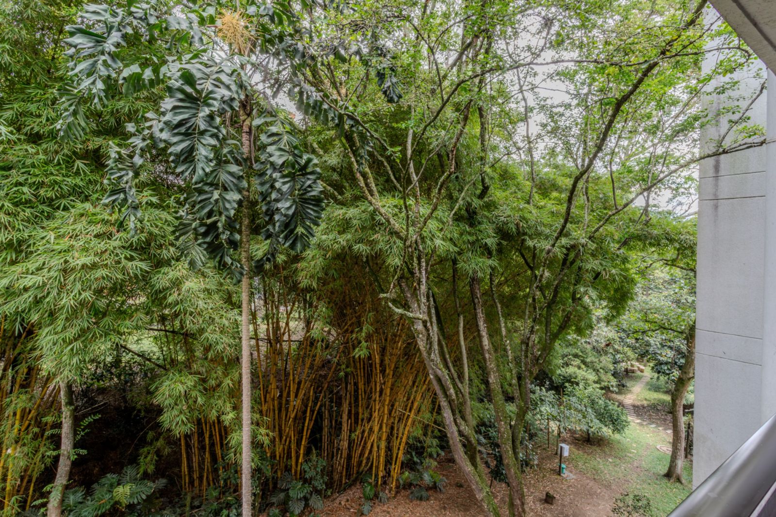 Garden view